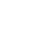 Flight Icon